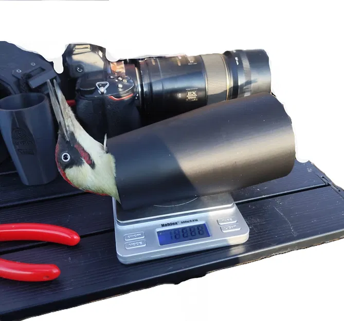 Cốc Cân Chim Chuyên Dụng Cho Nghiên Cứu Điểu Học - Image 1