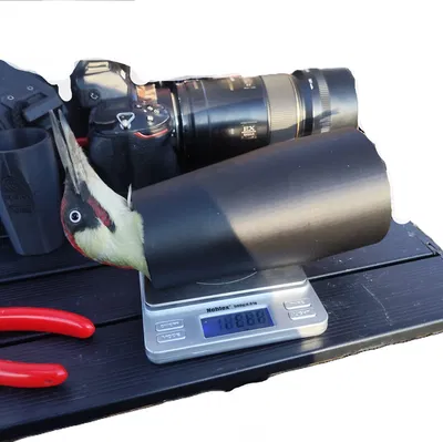 Cốc Cân Chim Chuyên Dụng Cho Nghiên Cứu Điểu Học