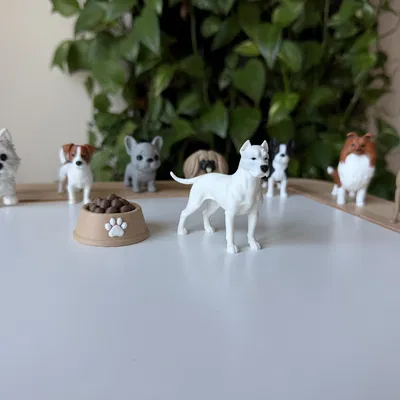 Dogo Argentino (Chó Ngao Argentina) - Mô hình in 3D chân thực