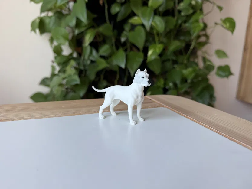 Dogo Argentino (Chó Ngao Argentina) - Mô hình in 3D chân thực - Image 2