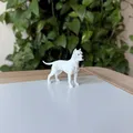 Dogo Argentino (Chó Ngao Argentina) - Mô hình in 3D chân thực - Thumbnail 2