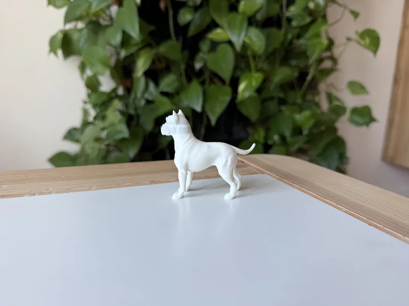 Dogo Argentino (Chó Ngao Argentina) - Mô hình in 3D chân thực - Image 3