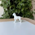 Dogo Argentino (Chó Ngao Argentina) - Mô hình in 3D chân thực - Thumbnail 3