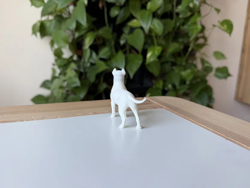 Dogo Argentino (Chó Ngao Argentina) - Mô hình in 3D chân thực - Image 4