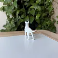 Dogo Argentino (Chó Ngao Argentina) - Mô hình in 3D chân thực - Thumbnail 4