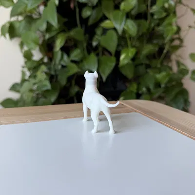 Dogo Argentino (Chó Ngao Argentina) - Mô hình in 3D chân thực