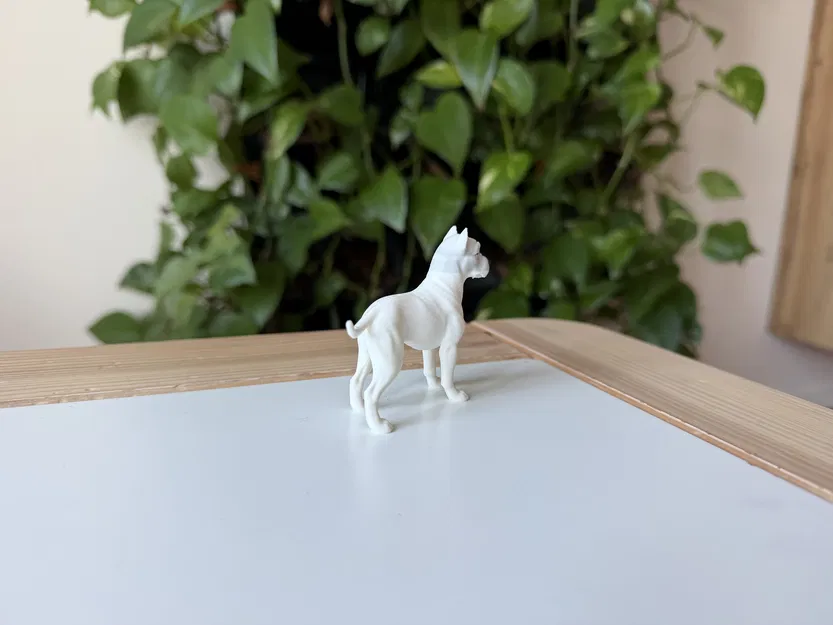 Dogo Argentino (Chó Ngao Argentina) - Mô hình in 3D chân thực - Image 5