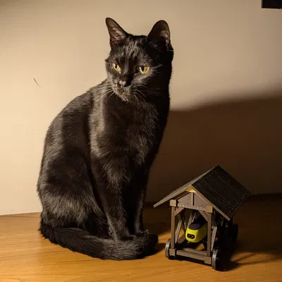 Giá đỡ Philips OneBlade kiểu xe công thành (Battering Ram)