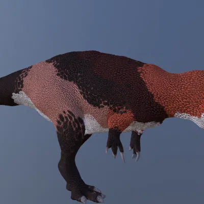 Mô hình khủng long Neovenator in 3D chi tiết - Kỷ Phấn Trắng