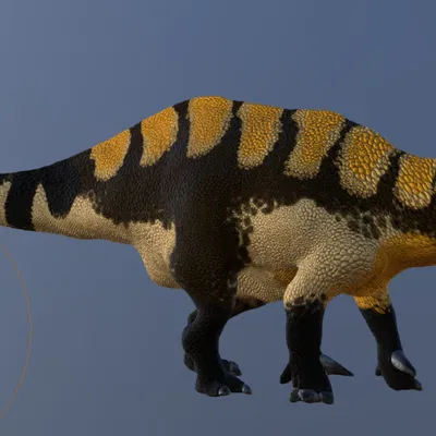 Mô hình 3D Istiorachis: Khủng long Iguanodontid cực chi tiết