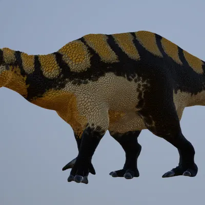 Mô hình 3D Istiorachis: Khủng long Iguanodontid cực chi tiết