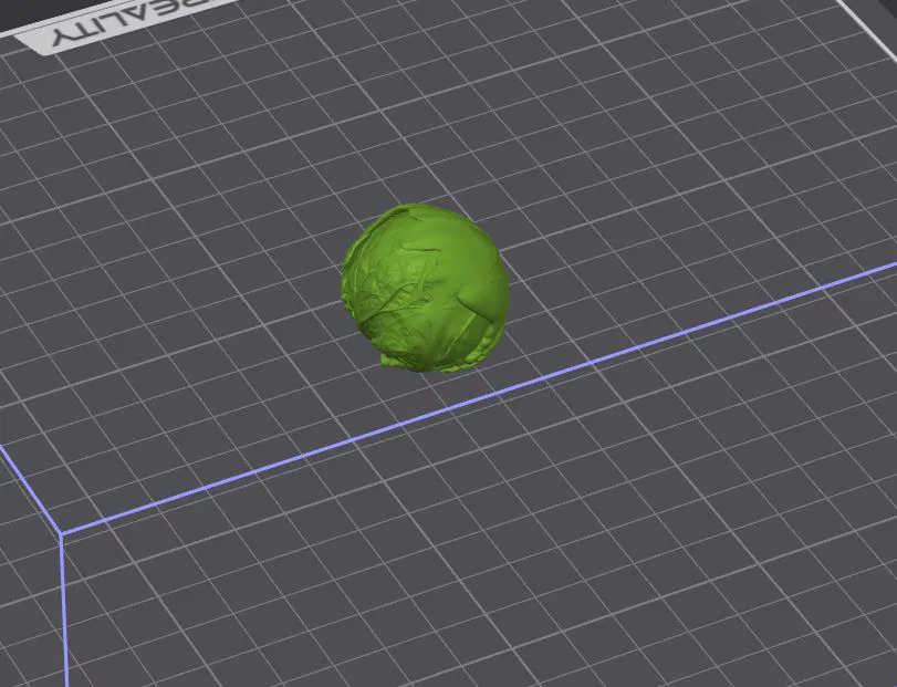 Brussels Sprout – Mô hình 3D chân thực - Image 1