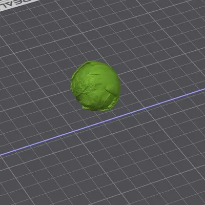Brussels Sprout – Mô hình 3D chân thực
