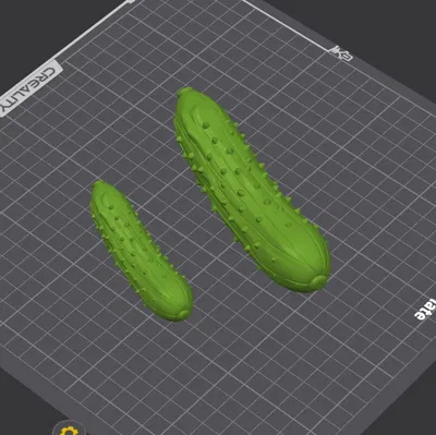 Dưa leo – Mô hình 3D chân thực