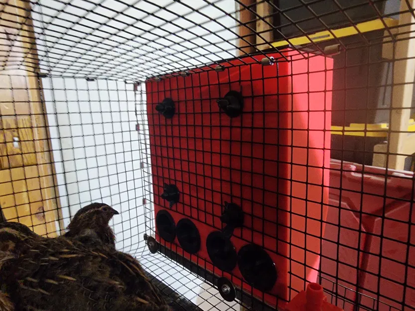 Máng ăn cho chim cút Quail Cage Feeder (In 3D DIY) - Image 1