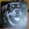 Mô hình HueForge Rottweiler 3D - Thumbnail 1