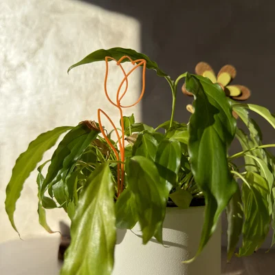 Mô hình trang trí hoa Tulip cắm chậu (Tulip on a stick) độc đáo