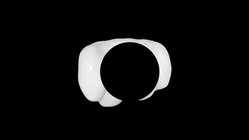 Mô hình giải phẫu 3D trực quan và chi tiết cho in 3D - Image 1