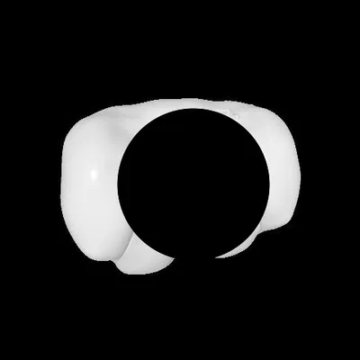 Mô hình giải phẫu 3D trực quan và chi tiết cho in 3D