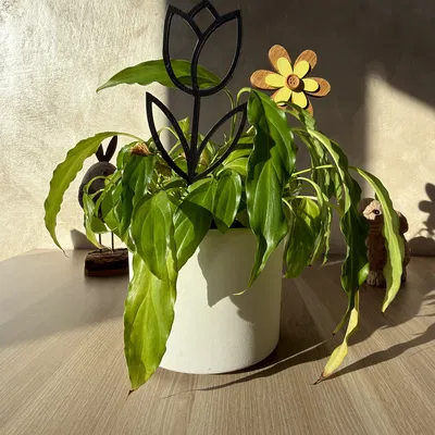 Trang trí chậu cây với mô hình hoa tulip in 3D siêu dễ thương