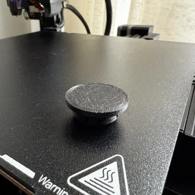 Nắp che ổ mồi thuốc xe Ford (Ford Lighter Cover)