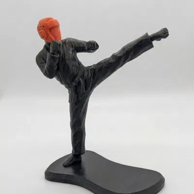 Mô hình Vận động viên Taekwondo phong cách tối giản