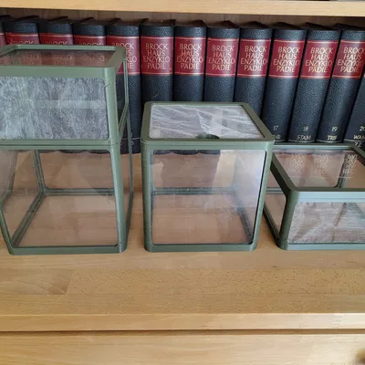 Terrarium Tự Lắp Ráp Theo 3 Kích Cỡ