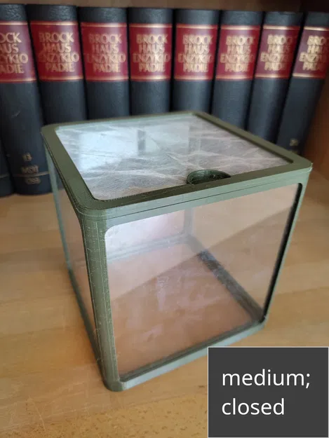 Terrarium Tự Lắp Ráp Theo 3 Kích Cỡ - Image 4