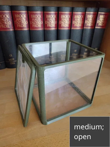 Terrarium Tự Lắp Ráp Theo 3 Kích Cỡ - Image 5