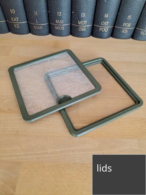 Terrarium Tự Lắp Ráp Theo 3 Kích Cỡ - Image 8