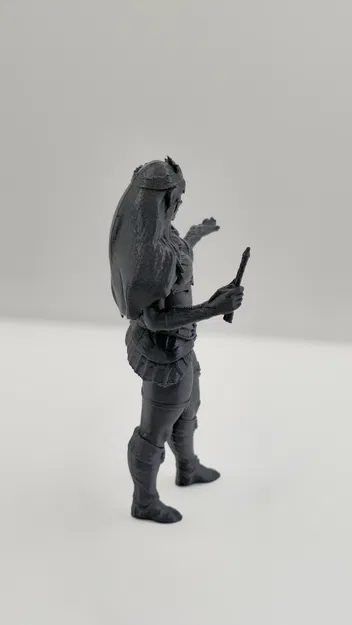 Lyrielle – Nữ tu sĩ yêu tinh Arcane - Image 3