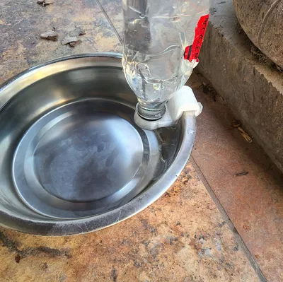 Bộ chuyển đổi gắn chai nước vào bát cho chó