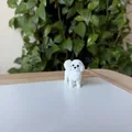 Mô hình in 3D chó Coton de Tulear chân thực - Thumbnail 2