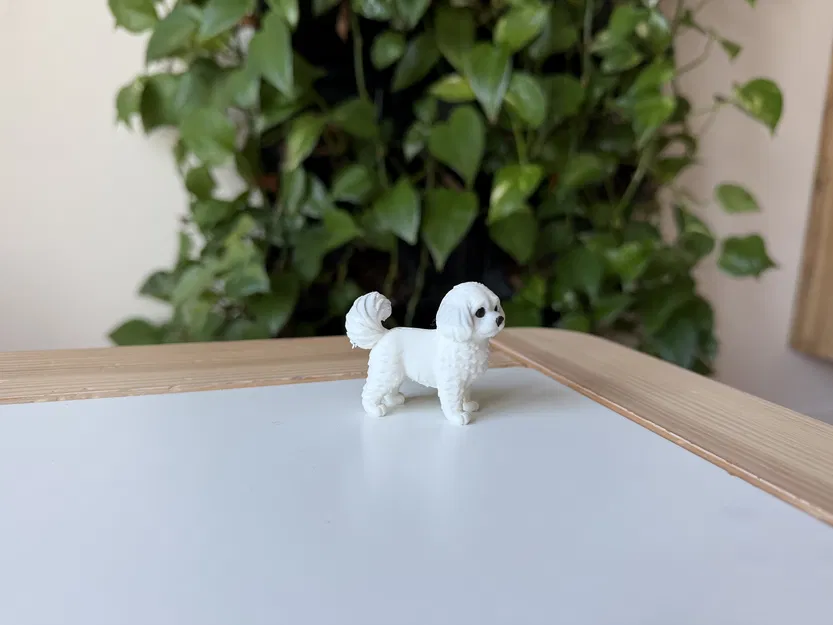 Mô hình in 3D chó Coton de Tulear chân thực - Image 3