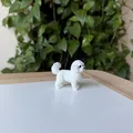 Mô hình in 3D chó Coton de Tulear chân thực - Thumbnail 3
