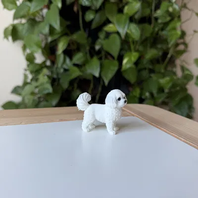 Mô hình in 3D chó Coton de Tulear chân thực