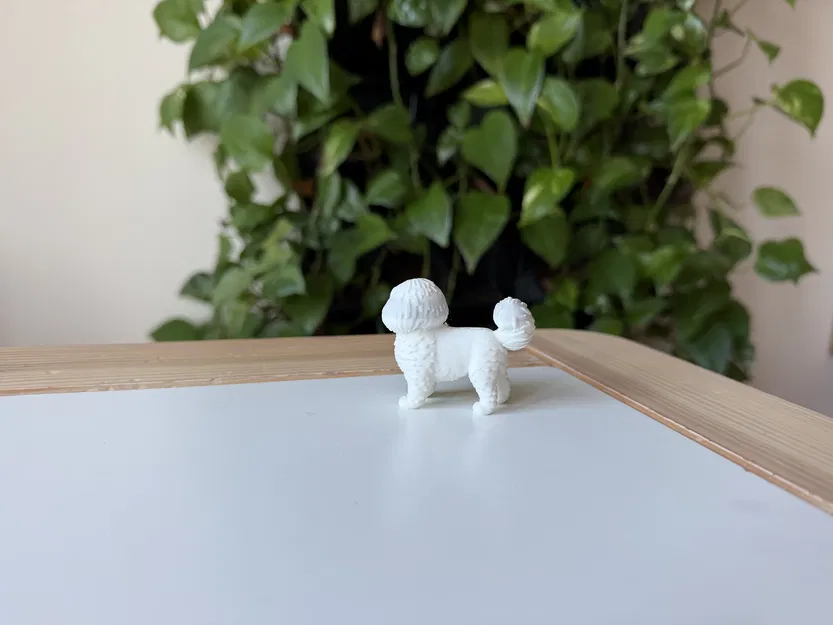 Mô hình in 3D chó Coton de Tulear chân thực - Image 4