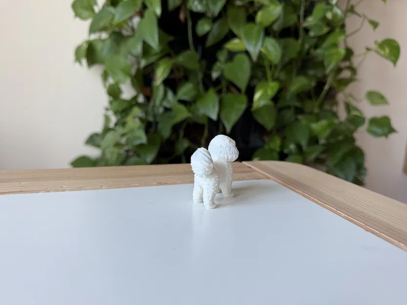Mô hình in 3D chó Coton de Tulear chân thực - Image 5