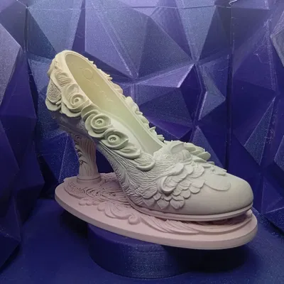 The First Waltz Slipper - Chiếc Giày Vũ Điệu Đầu Tiên