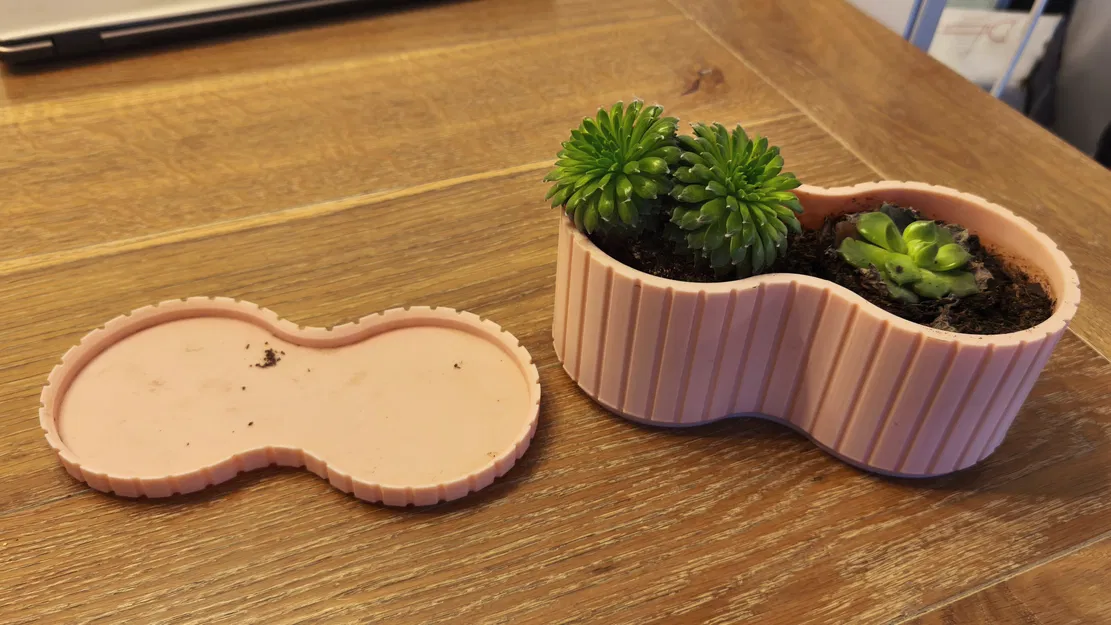 Chậu trồng cây mini kèm khay hứng nước in 3D xinh xắn - Image 2