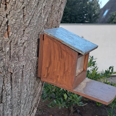 Ngàm gắn tháo lắp nhanh cho nhà sóc - Giải pháp DIY thông minh