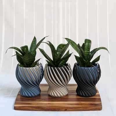 Chậu cây hình xoắn ốc (Spiral Planter)