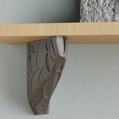 Giá đỡ kệ: Cảm hứng hữu cơ (Organic inspiration)