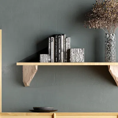 Giá đỡ kệ: Cảm hứng hữu cơ (Organic inspiration)