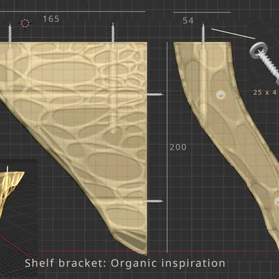 Giá đỡ kệ: Cảm hứng hữu cơ (Organic inspiration)