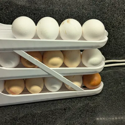 Khay đựng trứng xoay (Egg rotary Dispenser)