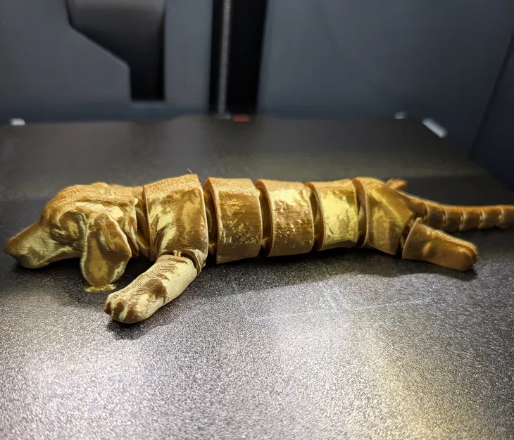 Chú chó xúc xích flexi vàng óng! - Image 3