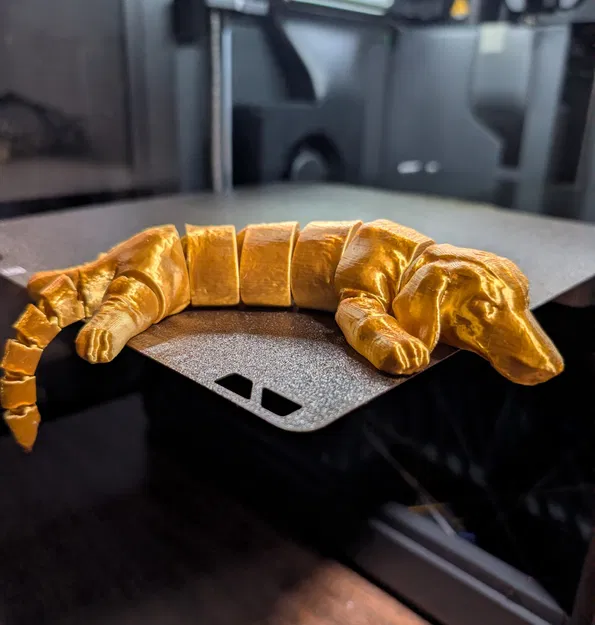 Chú chó xúc xích flexi vàng óng! - Image 4