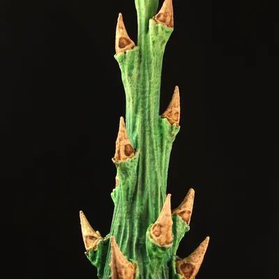 Cây trang trí bàn: "Rhododendron Nostril" (Thực vật ngoài hành tinh 26)