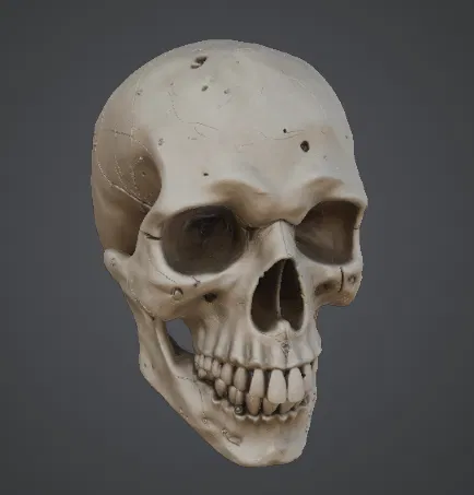 Mô hình hộp sọ 3D (Skull) chi tiết cao - Phụ kiện trang trí độc lạ - Image 1
